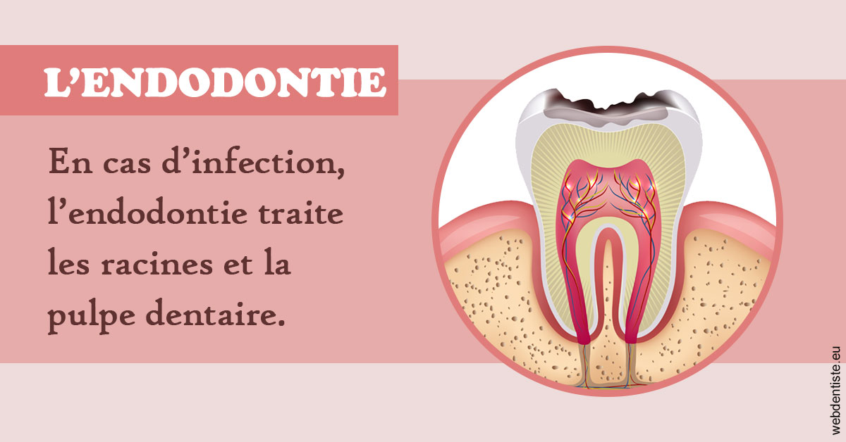 https://www.drbenoitphilippe.com/L'endodontie 2